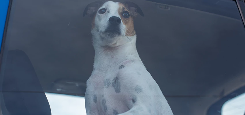 Car Lockout Solutions in South El Monte, California